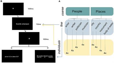 Exploring the Representations of Individual Entities in the Brain Combining EEG and Distributional Semantics